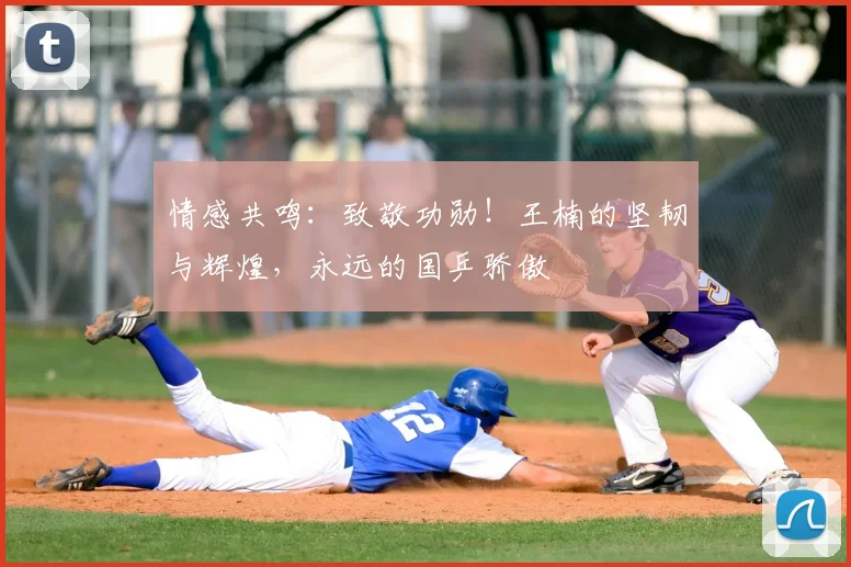 情感共鸣:致敬功勋!王楠的坚韧与辉煌,永远的国乒骄傲