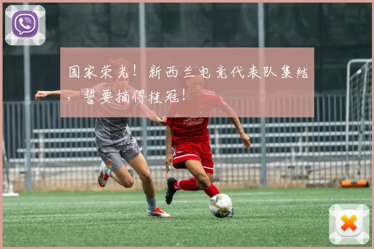 国家荣光!新西兰电竞代表队集结,誓要摘得桂冠!
