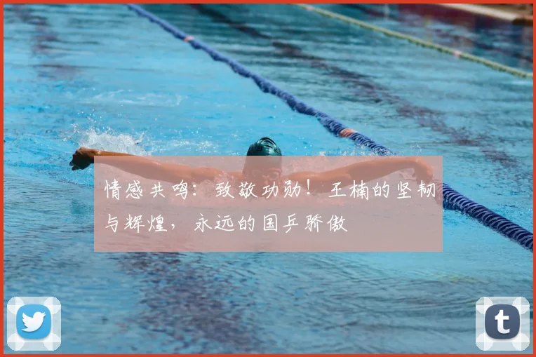 情感共鸣：致敬功勋！王楠的坚韧与辉煌，永远的国乒骄傲